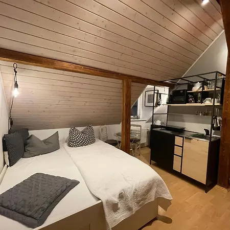 Apartmán Modernes 1-raum-apartment Drážďany