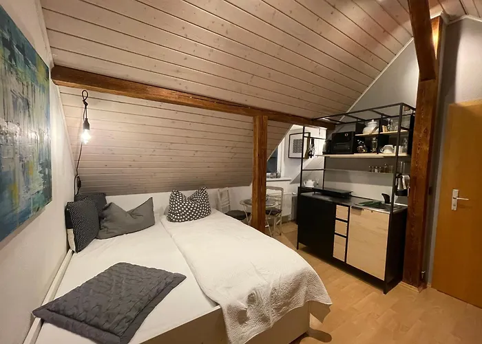 Apartmán Modernes 1-raum-apartment Drážďany