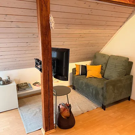 Modernes 1-raum-apartment